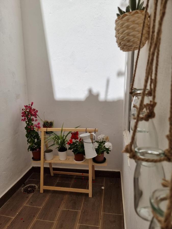 Dream Days Guesthouse Faro Bagian luar foto